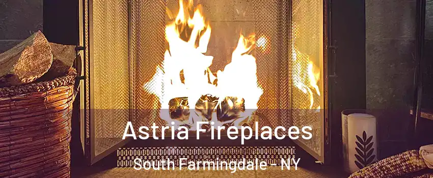  Astria Fireplaces South Farmingdale - NY