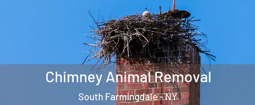  Chimney Animal Removal South Farmingdale - NY