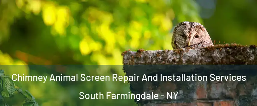  Chimney Animal Screen Repair And Installation Services South Farmingdale - NY