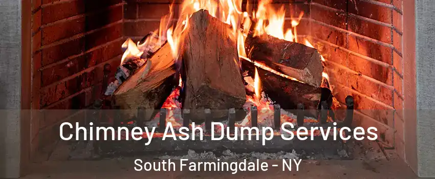 Chimney Ash Dump Services South Farmingdale - NY