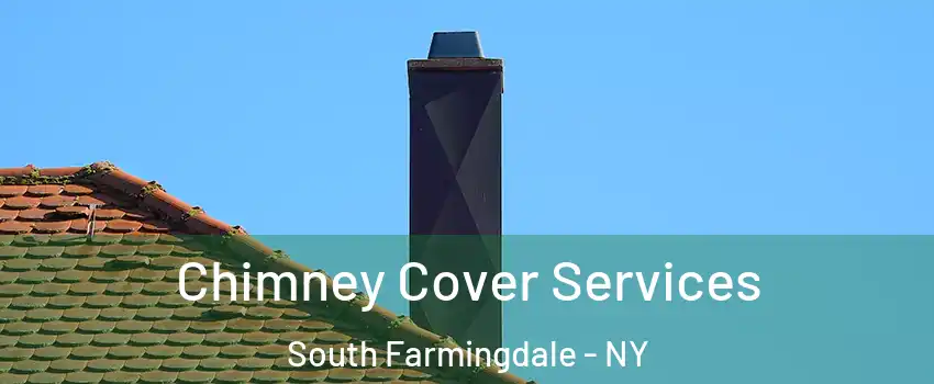  Chimney Cover Services South Farmingdale - NY