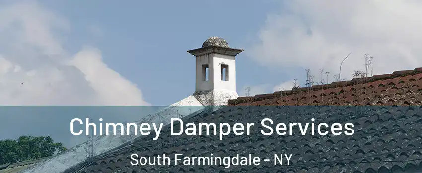  Chimney Damper Services South Farmingdale - NY
