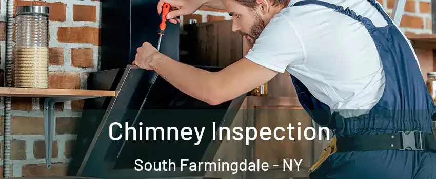  Chimney Inspection South Farmingdale - NY