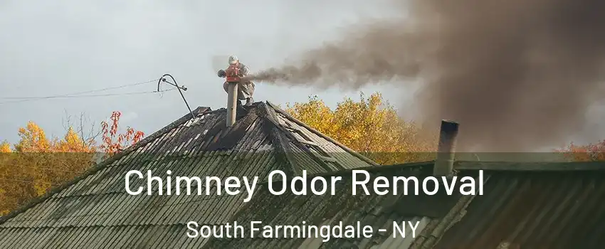  Chimney Odor Removal South Farmingdale - NY