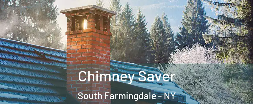  Chimney Saver South Farmingdale - NY