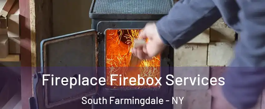  Fireplace Firebox Services South Farmingdale - NY