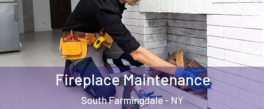  Fireplace Maintenance South Farmingdale - NY