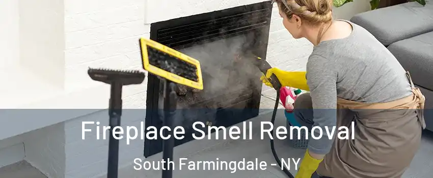  Fireplace Smell Removal South Farmingdale - NY