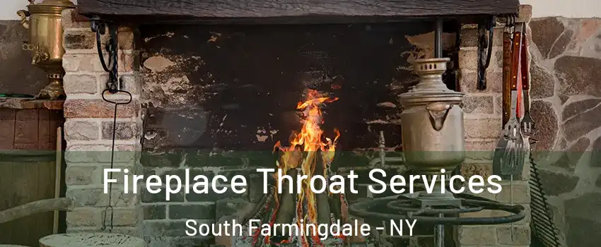  Fireplace Throat Services South Farmingdale - NY