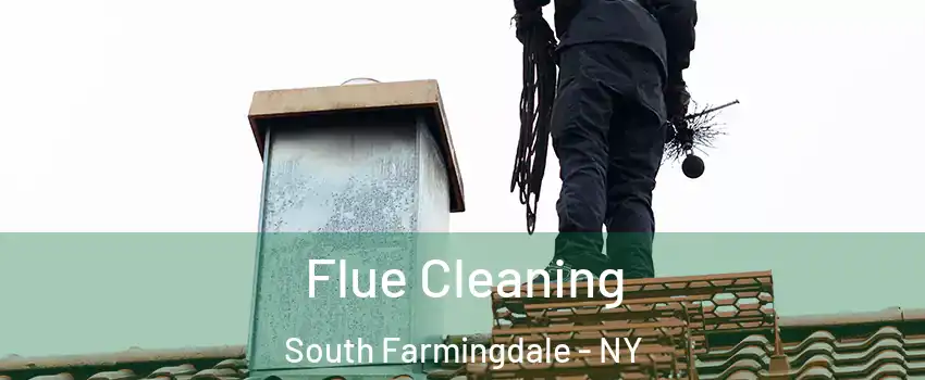  Flue Cleaning South Farmingdale - NY