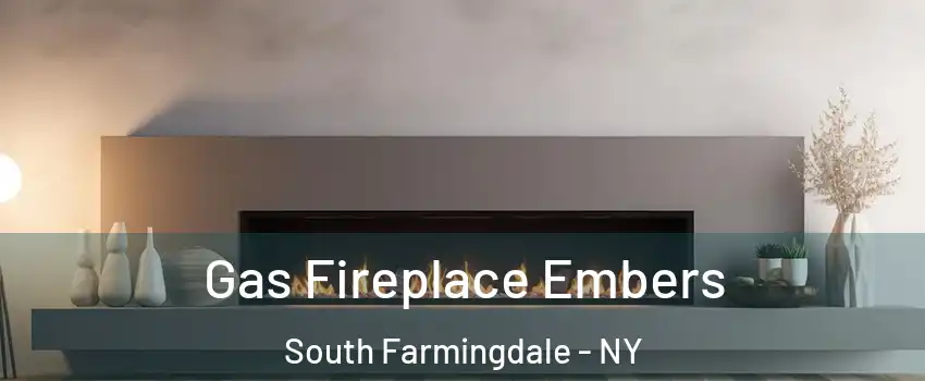  Gas Fireplace Embers South Farmingdale - NY