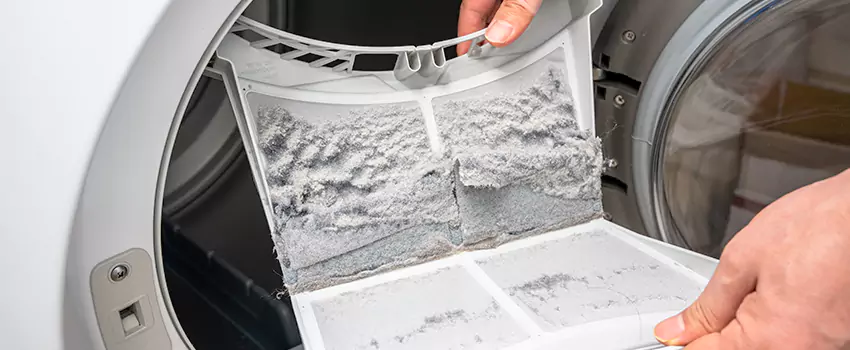 Best Dryer Lint Removal Company in South Farmingdale, New York