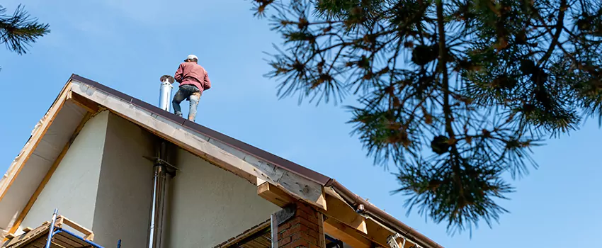 Birds Removal Contractors from Chimney in South Farmingdale, NY