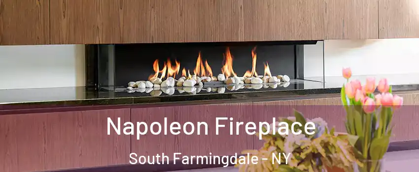  Napoleon Fireplace South Farmingdale - NY