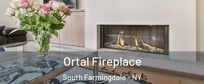  Ortal Fireplace South Farmingdale - NY